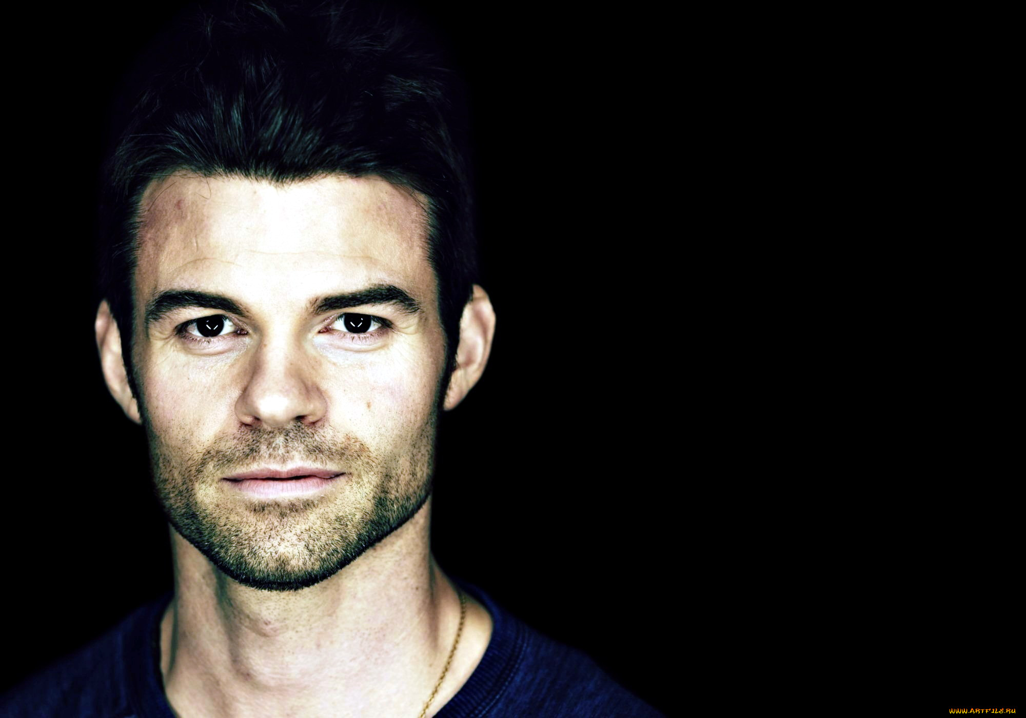 daniel gillies, , 